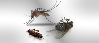 Для квартир