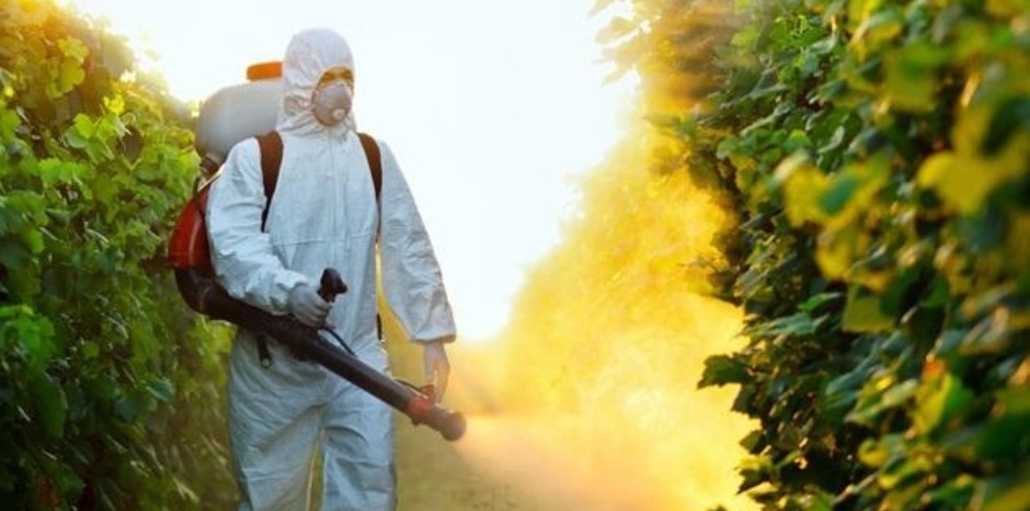 Мы предлагаем вам свою квалифицированную помощь