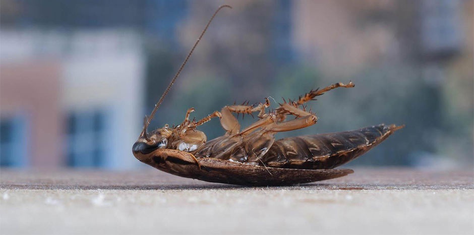 Заключение длительного договора - бесплатно!